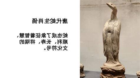 蛇操 意思